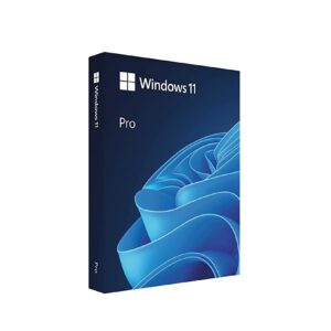 Phần mềm bản quyền Windows 11 Pro-64bit English 1PK DSP OEI DVD